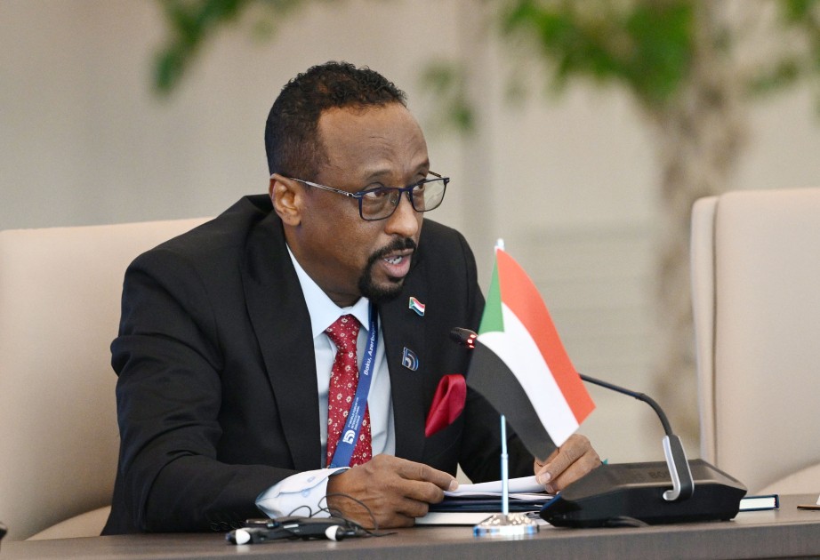 Sudanlı nazir: Zəngin mədəni irsimizin dünyaya tanıdılmasına çalışırıq