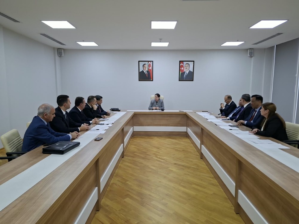 Yeni Azərbaycan Partiyasının Təftiş Komissiyasının iclası keçirilib
